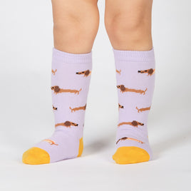 Sock it to Me Hot Dogs Toddler Knee High Socks
